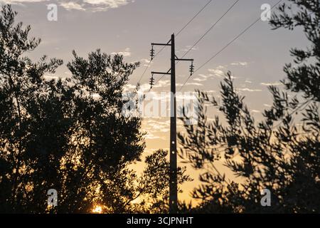 Ein hoher Strommast mit Isolatoren und Drähten steht vor einem wunderschönen Sonnenunterganghimmel, eingerahmt von den dunklen Silhouetten der Olivenbäume im Foregr Stockfoto