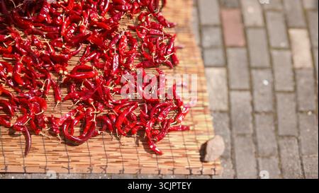 Getrocknete rote, heiße Chilischoten auf einer traditionellen Bambusmatte unter hellem Licht Stockfoto