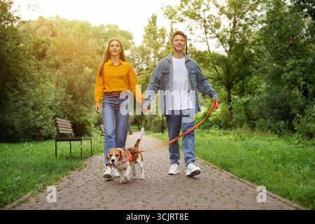 Ein Paar spazieren mit einem bezaubernden Beagle-Hund im Park, mit Blick aus einem niedrigen Winkel Stockfoto