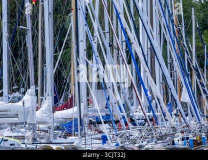 Wismar, Deutschland. August 2025. Segelboote liegen im Yachthafen Wendorf bei Wismar vor. Quelle: Jens Büttner/dpa/Alamy Live News Stockfoto