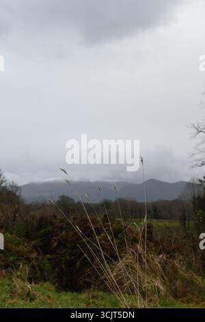 Eine neblige Bergwelt mit üppigem üppigem Grün und herrlich bewölktem Himmel darüber Stockfoto