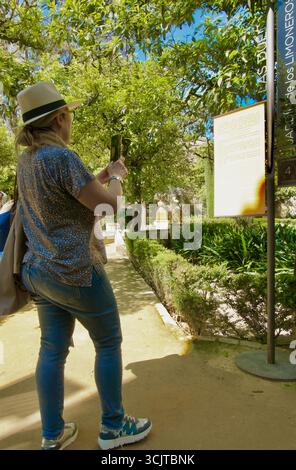Touristen, die ein mobiles Bild eines Informationsschildes in den Gärten Palacio de las Dueñas Haus von Alba Sevilla Andalusien Spanien Europa machen Stockfoto