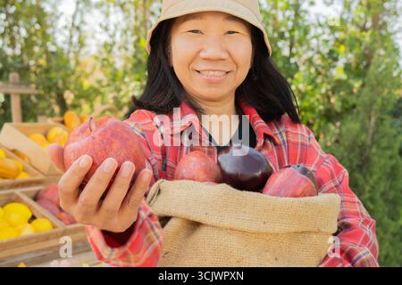 Glückliche Frau, die reife Äpfel hält. Bio-Lebensmittel und Rohstoffe zur Herstellung von Saft, Apfelwein und Essig. Landwirtschaftliches Konzept Stockfoto
