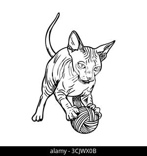 Eine verspielte, haarlose Sphynx-Katze interagiert mit einem Garnknäuel. Die Katze hat ausgeprägte Falten und große Ohren, die ihr einzigartiges Aussehen zeigen. Stock Vektor