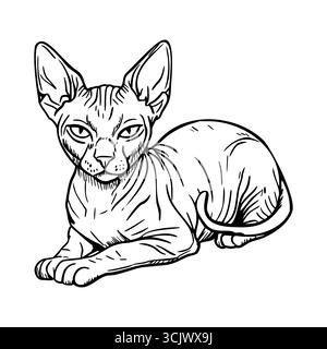 Eine haarlose Sphynx-Katze liegt bequem auf einer Oberfläche. Die Katze hat große Ohren, ein faltiges Gesicht und einen schlanken Körper, der ihr einzigartiges Aussehen unterstreicht. Stock Vektor