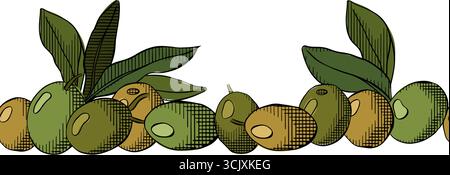 Olivenbeeren und Blätter nahtlose Illustration horizontaler Rand. Vektorgrafik, farbig. Hintergrund für Banner, Druck für Stoff, Etiketten, t Stock Vektor