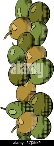 Nahtloser vertikaler Rand aus olivgrünen Beeren. Vektorgrafik Linie farbige Illustration. Griechische Ölfrucht, Ernte auf dem Bauernhof. Bildtinte horizontaler Frieze. Pa Stock Vektor