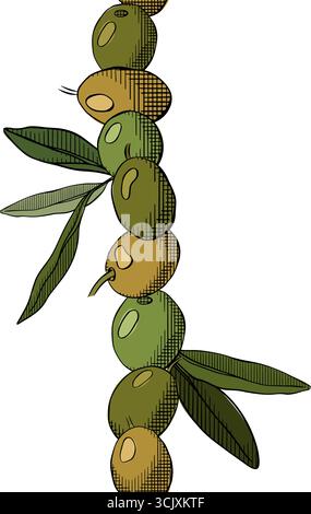 Nahtloser vertikaler Rahmen für Olivenbeeren und Blätter. Vektorgrafik, farbig. Banner, Poster, Geschenkpapier, Aufkleber, Druck, moder Stock Vektor