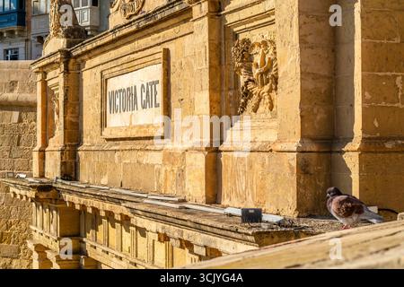 Victoria Gate, einer der Eingänge zur historischen Altstadt von La Valletta, Hauptstadt von Malta Stockfoto