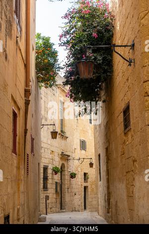 Wundervolle historische Straße in Marsaxlokk, Malta an einem sonnigen Tag Stockfoto
