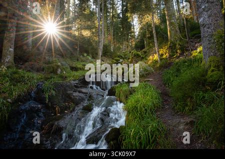 Malerischer Waldwasserfall in Frankreich mit einem leuchtenden Sonnenstern, der durch die Bäume strahlt und eine natürliche und ruhige Atmosphäre schafft. Stockfoto