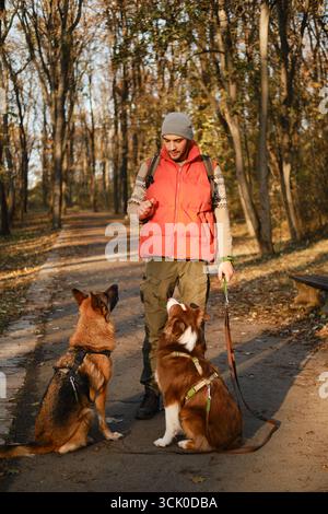Mann, der mit zwei Hunden im Herbstpark steht und sie trainiert, sich für Leckereien zu setzen. Stockfoto