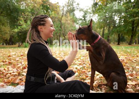 Eine junge Frau mit geflochtenen Haaren sitzt draußen in einem Park voller Herbstlaub. Sie interagiert fröhlich mit ihrem Hund und gibt ein liebevolles Hi Stockfoto