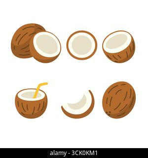 Flache Illustration von Kokosnüssen einschließlich ganze Kokosnüsse, halbe Kokosnuss, Kokosnussscheibe, Kokosnuss mit Strohhalm und Querschnitt minimalistisches DE Stock Vektor
