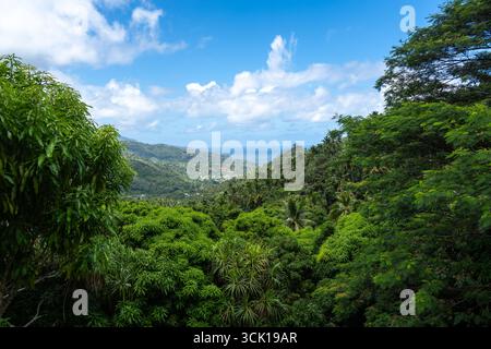 Üppiger tropischer Wald über den Bergen mit Blick auf die Bucht von Atuona, Hiva OA, Französisch-Polynesien. Eine atemberaubende Landschaft mit grünen Hügeln, Palmen und Th Stockfoto