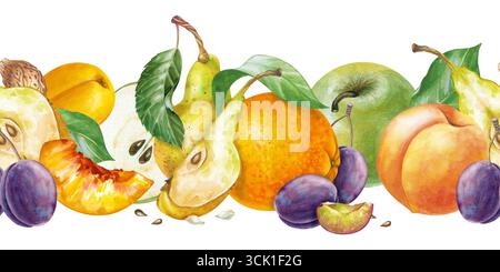Der nahtlose Rand der Mehrfrucht ist handgezeichnet. Aquarellillustration mit saisonalen Früchten auf weißem Hintergrund. Äpfel, Birnen, Orangen, Pflaumen Stockfoto