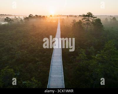 Atemberaubender Blick über die Drohne auf einen langen Holzsteg, der durch ein nebeliges Moor in Richtung eines wunderschönen goldenen Sonnenaufgangs führt. Stockfoto