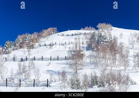 Schneebedeckte Hügel mit Bäumen und Lawinenzäunen unter einem klaren blauen Himmel in Japan Stockfoto