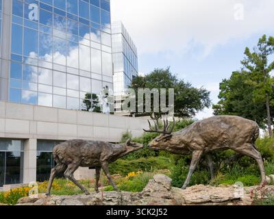Bronze-Hirschskulptur eines Bocks und eines Rehs Nase an Nase entlang des Waterway in den Woodlands, Texas. Stockfoto
