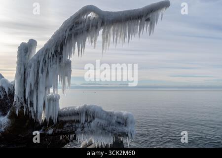 Nahaufnahme von eisbedecktem Treibholz am Winter Beach Stockfoto