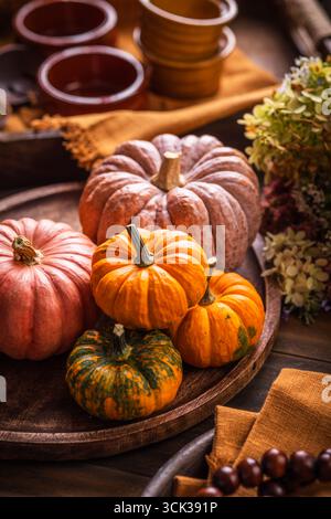 Stillleben mit Kürbissen, Herbstfrüchten und Pflanzen, Thanksgiving-Arrangement auf Küchentisch Stockfoto