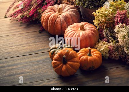 Stillleben mit Kürbissen, Herbstfrüchten und Pflanzen, Thanksgiving-Arrangement mit Kopierraum Stockfoto