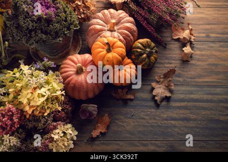 Stillleben mit Kürbissen, Herbstfrüchten und Pflanzen, Thanksgiving-Arrangement mit Kopierraum Stockfoto