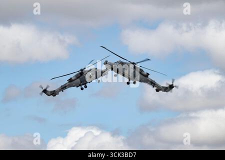 Das British Royal Navy Black Cats Helicopter Display Team fliegt mit dem Agusta-Westland AW-159 Wildcat HMA2 Utility Aircraft Display auf dem Air Tattoo Stockfoto