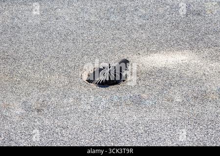 Nahaufnahme eines schwarzen runden Ablaufgitters auf einem Flachdach mit sichtbaren Schäden und Fehlausrichtung, was auf mangelhafte Wartung oder strukturelle Defekte in t hinweist Stockfoto