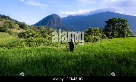 Aus der Vogelperspektive einer Person, die in lebhaften grünen Reisfeldern vor dem Hintergrund majestätischer Berge und üppiger Wälder steht, Soppeng, Sulawesi Selatan, in Stockfoto