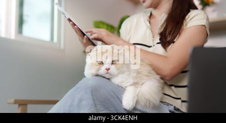 Gemütlicher Indoor-Moment mit Katze und Frau mit Tablet Stockfoto
