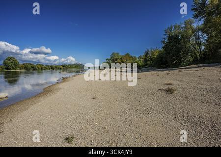 Der Kiesstrand am Ufer der Donau erstreckt sich unter einem hellblauen Himmel. Sanfte Wellen welken, während Bäume den Hintergrund säumen und eine Erbse bilden Stockfoto