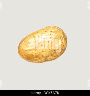 Eine einfache Illustration einer Kartoffel, die ihre erdige Textur und natürliche Form zeigt. Stockfoto