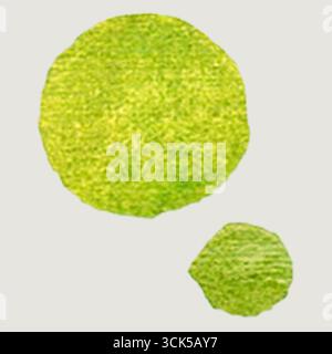 Zwei abstrakte grüne Kreise, die organische Formen oder Elemente darstellen und möglicherweise Natur oder Wachstum symbolisieren. Stockfoto