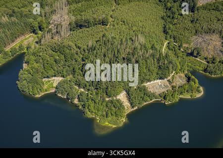 Luftaufnahme, Hasper-Staudamm, Waldschäden und Sperrung durch Erdrutsch, Haspe, Hagen, Ruhrgebiet, Nordrhein-Westfalen, Deutschland, Baumtod, Mountain da Stockfoto