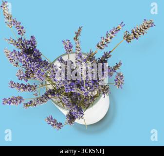 Ein Blumenstrauß aus Lavendelblumen in einer weißen Vase, die ihre leuchtenden violetten Töne und ihr zartes Aussehen zum Ausdruck bringen. Stockfoto