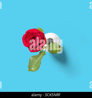 Eine einzelne rote Rose in einer weißen Vase, die Schönheit und Zuneigung symbolisiert. Stockfoto