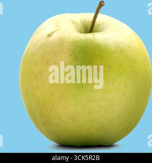 Ein einzelner grüner Apfel mit einer glatten Oberfläche und einem kleinen Stiel, der seine Frische und natürliche Anziehungskraft zum Ausdruck bringt. Stockfoto
