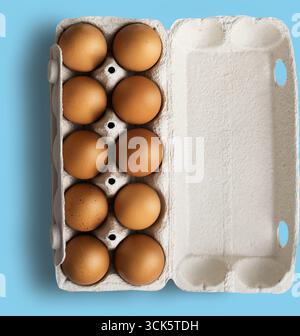 Ein Karton mit zehn braunen Eiern, ordentlich angeordnet und zum Kochen oder Backen bereit. Stockfoto