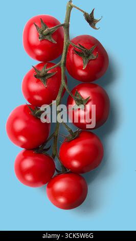 Eine Gruppe reifer roter Kirschtomaten auf einer Rebe, die Frische und natürliche Produkte zum Ausdruck bringt. Stockfoto