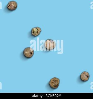 Eine Sammlung kleiner, runder, getrockneter Samen, verstreut vor dunklem Hintergrund. Stockfoto