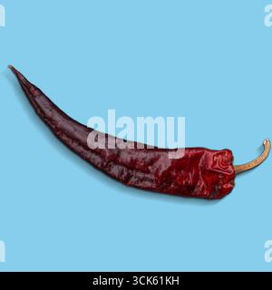 Eine einzelne getrocknete rote Chilischote, die ihre längliche Form und satte Farbe zeigt und oft für das Kochen verwendet wird, um Geschmack und Gewürze zu erhalten. Stockfoto