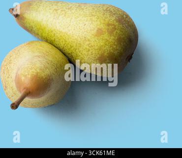 Zwei reife Birnen mit natürlicher Textur, die ihre einzigartige Form und Farbe zeigen. Stockfoto