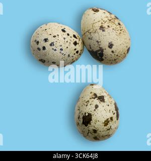 Drei gesprenkelte Wachteleier sind dreieckig angeordnet und zeigen ihre einzigartigen Muster und Texturen. Stockfoto