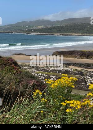 Derrynane Beach, County Kerry, Irland. Stockfoto