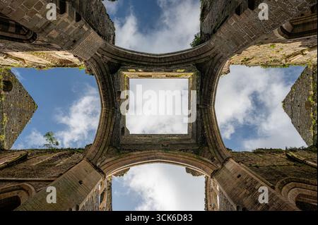 Blick nach oben auf das Querschiff und die Kreuzung der Ruinen der Abtei Hambye in der Normandie, mit Blick auf das hoch aufragende gotische Mauerwerk am Himmel. Stockfoto