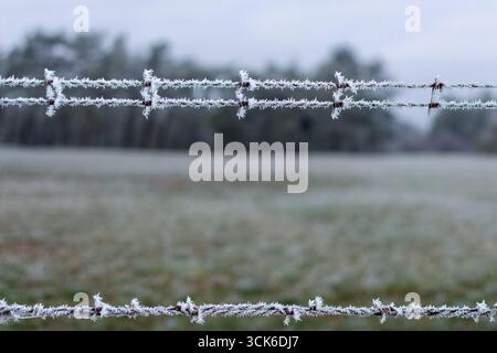 Nahaufnahme von zartem weißem Raureif, der drei Reihen Stacheldraht an einem kalten Wintermorgen in Frankreich beschichtet, wodurch auffällige saisonale Texturen entstehen. Stockfoto
