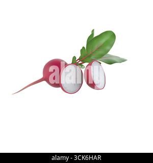 Eine stilisierte Illustration eines Rettichs mit leuchtend rotem Äußeren und weißem Innenraum sowie grünen Blättern. Stockfoto