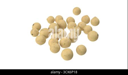 Eine Sammlung kleiner, runder, beiger Kugeln, die möglicherweise eine Art von Samen oder natürlichem Material darstellen. Stockfoto