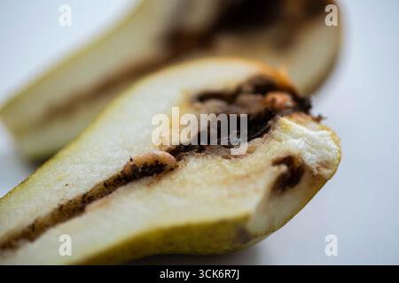 Ein Wurm in einer Bio-Birne, aufgenommen in Berlin, 10.09.2025. Berlin Deutschland *** Ein Wurm in einer organischen Birne, fotografiert in Berlin, 10 09 2025 Berlin Deutschland Copyright: XAmreixSchulzx Stockfoto